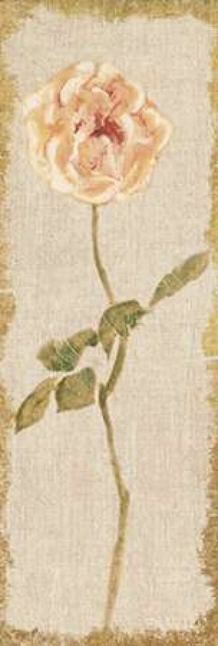 Pale Rose Panel on White Vintage Poster Print by Cheri Blum - Item # VARPDX24615